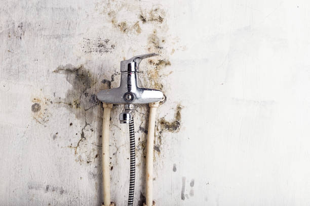 Best Water Damage Restoration  in Parrish, AL