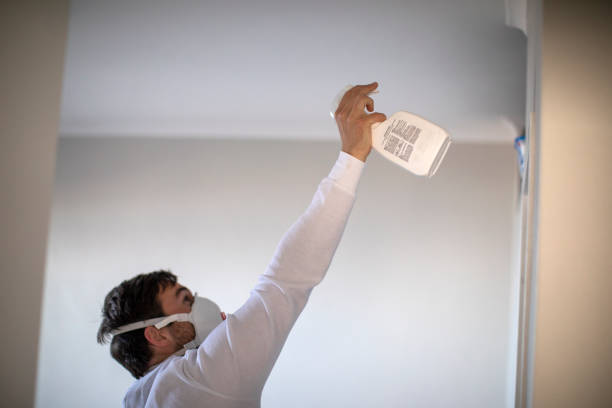 Mold Testing and Removal in Parrish, AL