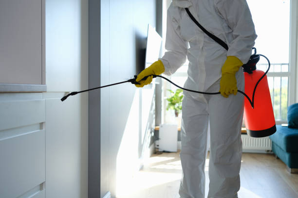 Best Mold Inspection  in Parrish, AL