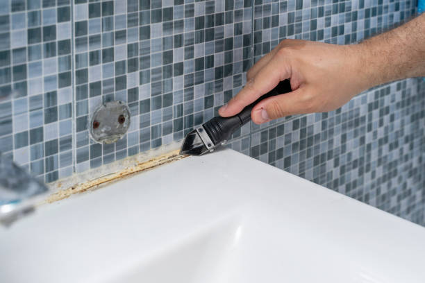 Best Mold Removal Company Near Me  in Parrish, AL