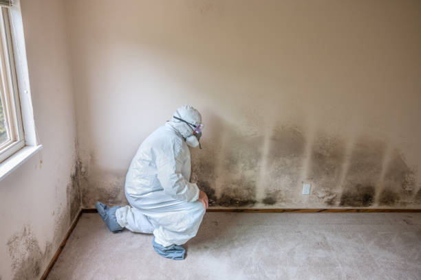 Best Commercial Mold Removal  in Parrish, AL